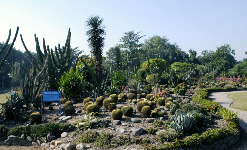 New Campus Botanical Garden, University of Punjab, Lahore, Lahore, Pakistan, Pakistan